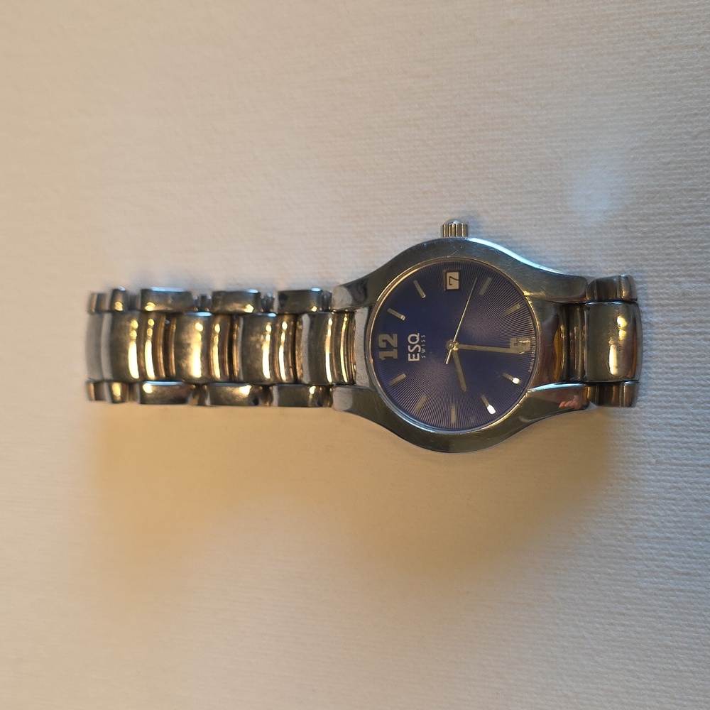 Men's ESQ Silver and Blue Watch